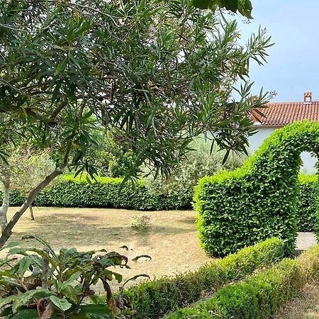 Valica Gardens Villa Savudrija Ngoại thất bức ảnh